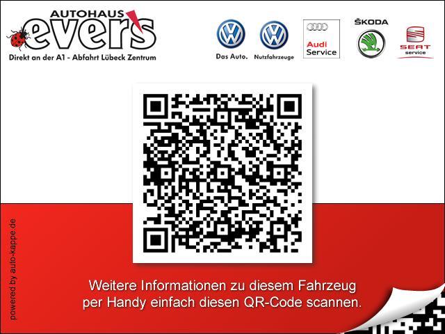 Skoda Fabia Joy 1,0 MPI Klima Einparkhilfe