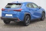 Lexus UX 250h Launch Edition - Lexus UX 250h Gebrauchtwagen