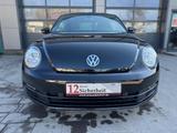 Volkswagen Beetle Lim. Basis - Volkswagen Beetle: Kleinwagen