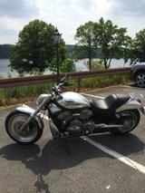 Harley-Davidson V-Rod - 2004 V ROD