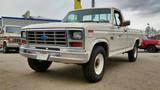 Ford F250 4.9l Schalter Worktruck - Ford F 250: Geländewagen