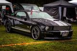 Ford Mustang SHELBY GT - gebrauchte Ford Mustang aus dem Jahr 2007