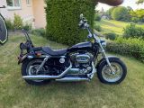 Harley-Davidson Sportster XL 1200 Custom - HARLEY-DAVIDSON SPORTSTER 1200 XL CUSTOM