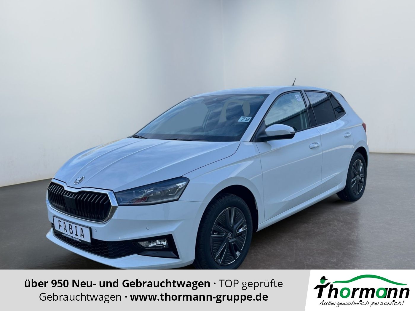 Skoda Fabia Balance 1.0 MPI Tempomat Rückfahrkamera