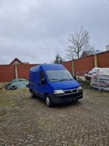 Fiat Ducato Transporter - Fiat Ducato aus 2006