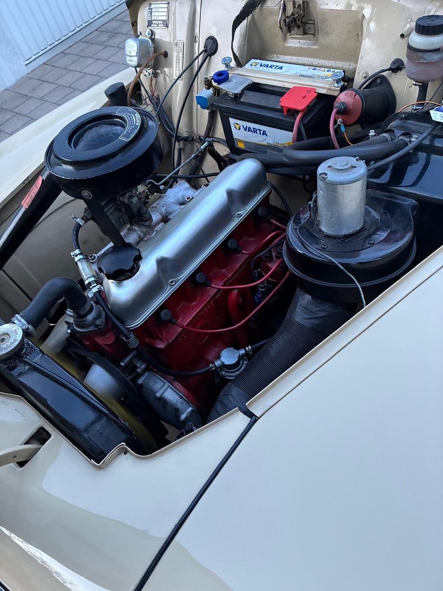 Volvo PV 544 (Buckelvolvo) Oldtimer 