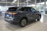Volkswagen Tiguan 1.5 eTSI 5*J.Gar/aAHK/LED-Plus/el.Klappe/ - Volkswagen Tiguan Tageszulassungen mit Benzin-Antrieb