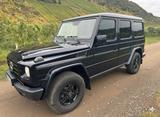 Mercedes-Benz G 350 CDI, lang - - Mercedes-Benz G 350 von privat