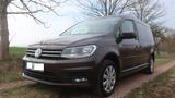 Volkswagen Caddy Maxi Comfort, Standhz, AHK, Kamera, Assist - VW Caddy Maxi von privat