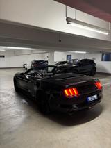 Ford Mustang 5.0 Ti-VCT V8 GT Auto GT - Ford Mustang mit Benzin-Antrieb: Cabrio, 5.0