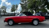Alfa Romeo Spider 1600 Top Zustand 