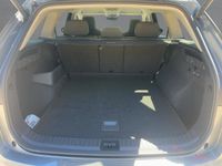 Skoda Kodiaq - Vorschau Bild 13