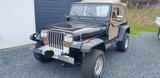 Jeep Wrangler YJ 4,2 , AMC , Jeep ,Wrangler - Jeep: Amc
