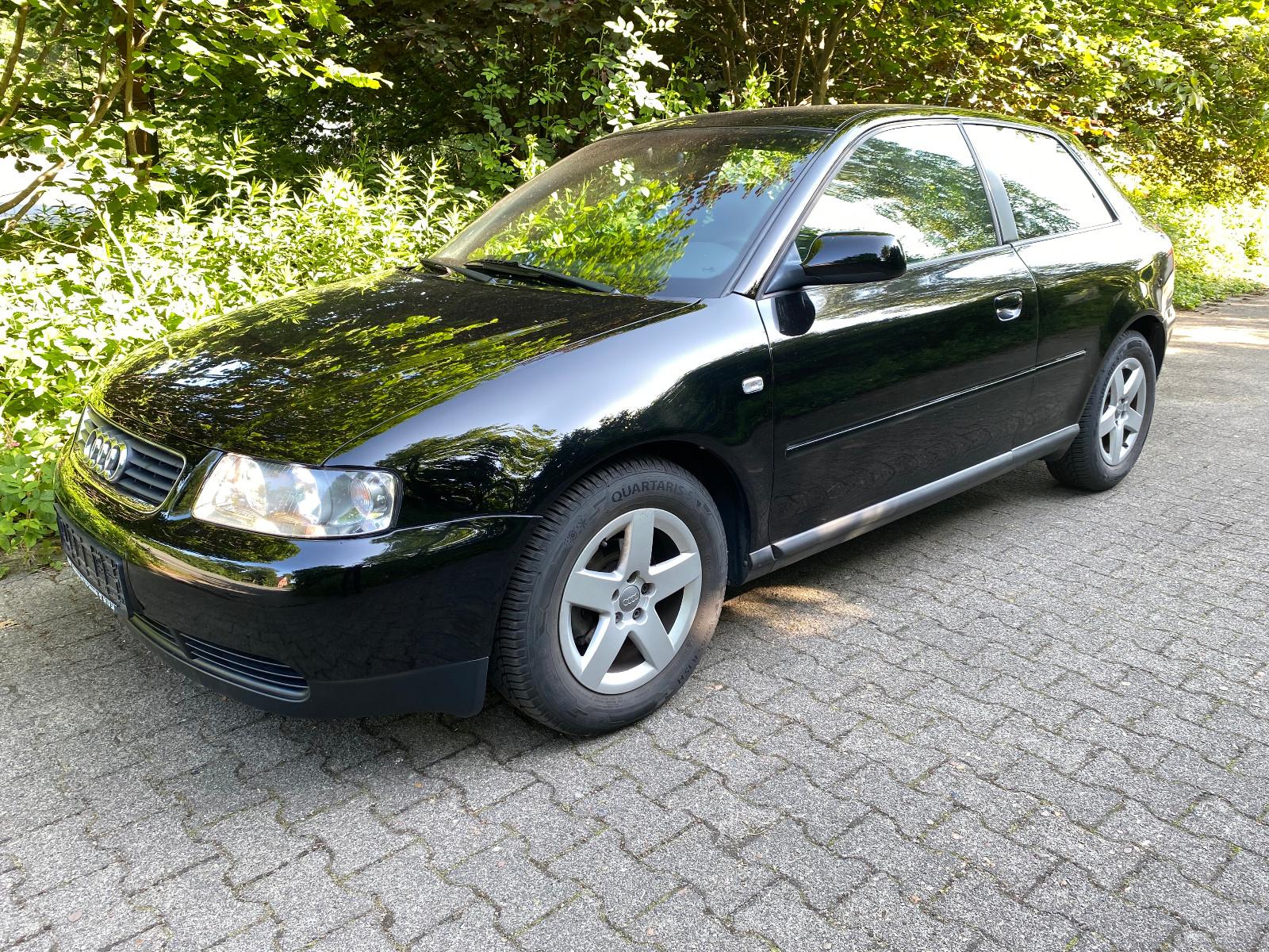 Audi A3 1.Hand Leder Sportsitze Zahnriemen u. TÜV Neu