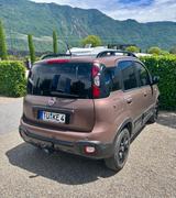 Fiat Panda  Sondermodell Trussardi 1.2 l TOP gepflegt - Fiat Panda TRUSSARDI