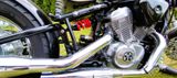Honda VT 600 *Bobber Umbau* *Top Zustand* - HONDA CHOPPER 600