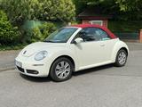 Volkswagen New Beetle 1.6 Cabriolet - - Volkswagen New Beetle aus 2008