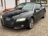 Audi A5 Cabriolet 2.0 TDI SPORT-PAKET/XENON/TÜV NEU - gebrauchte Roadster