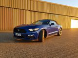 Ford Mustang 3.7 V6 Cabriolet  - Ford Mustang: Cabrio
