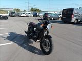 Triumph Bonneville T120 Black Inkl. 1000€ Aktion - TRIUMPH BONNEVILLE T100 BLACK