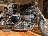 Harley-Davidson Custom 1200 - HARLEY-DAVIDSON 1200 CUSTOM