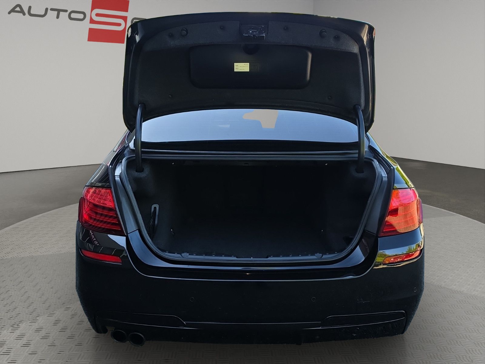 Fahrzeugabbildung BMW 530 5 Limousine 530 d  20``Zoll