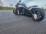 Harley-Davidson Night Rod Special CustomUmbau von Cultwerk - Offers matching your search criteria