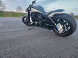 Harley-Davidson Night Rod Special CustomUmbau von Cultwerk - Offers matching your search criteria