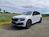 Skoda Kamiq 1.5 TSI ACT Ambition - Skoda Kamiq Gebrauchtwagen in Bremen