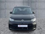 Volkswagen Caddy Maxi 2.0TDI DSG LIFE NAV+ACC+SHZ+2xPDC+DAB - VW Caddy Maxi Gebrauchtwagen