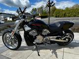 Harley-Davidson Street Rod - HARLEY-DAVIDSON STREET ROD