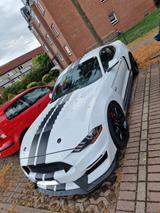 Ford Mustang 5.0 Ti-VCT V8 GT Auto GT - weiße Ford Mustang