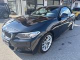 BMW 218 2 Cabrio 218 i M Sport - gebrauchte BMW Roadster