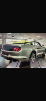 Ford Mustang V 3.7 - gebrauchte Cabrios in Zwickau