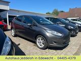 Ford Fiesta Titanium EcoBoost *Navi/Allwttr/Winterpak - Ford Fiesta Gebrauchtwagen in Oldenburg