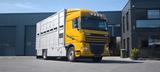 DAF XF 410 SC Menke Doppelstock - Angebote