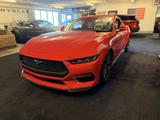 Ford Mustang Fastback 2.3 EcoBoost PREMIUM RHD - Ford Mustang aus 2025