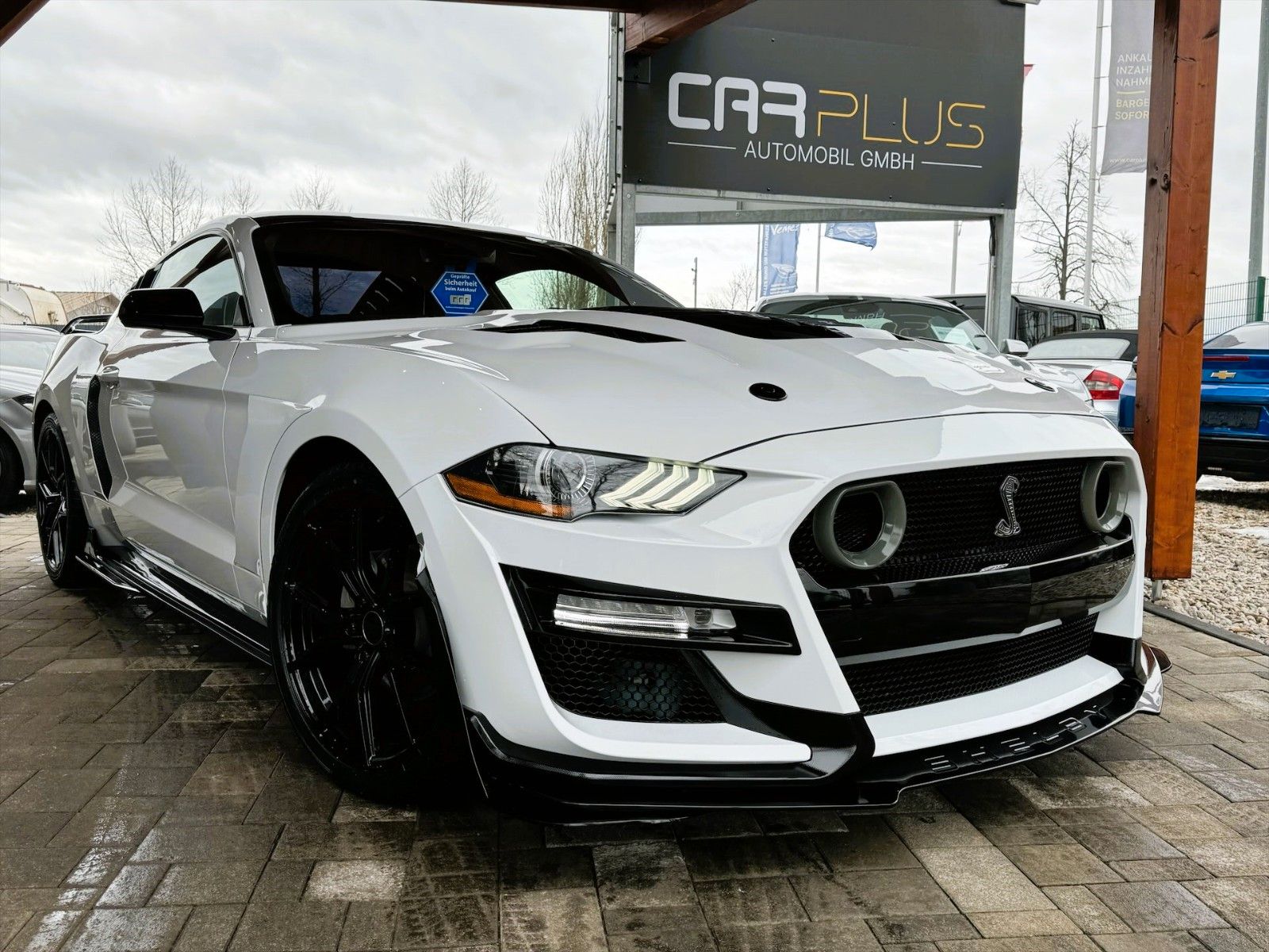 Fahrzeugabbildung Ford Mustang Shelby 500 GT Sport Coupe Performance