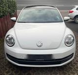 Volkswagen VW Beetle (Käfer) Cup 1.4 TSI *TOP GEPFLEGT* - Volkswagen Beetle in Wuppertal
