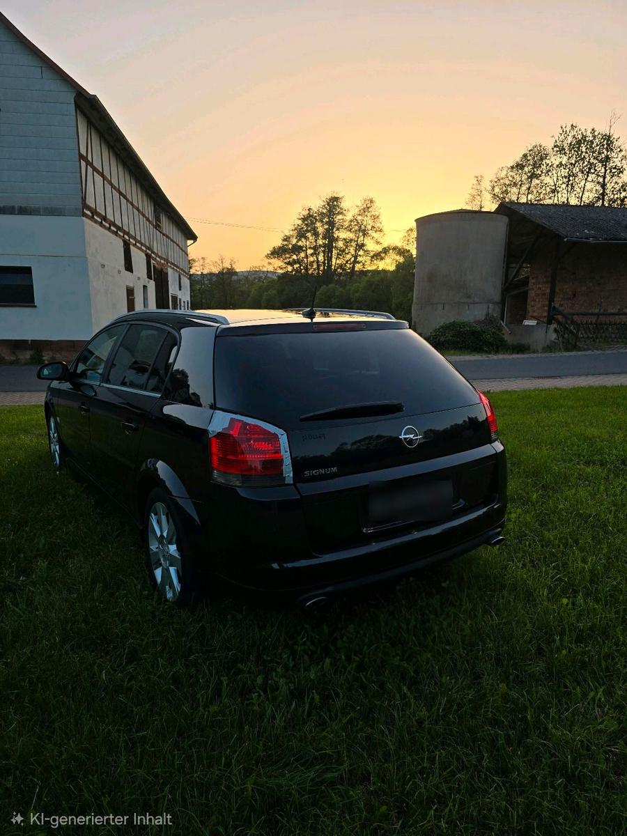 Opel Signum 2006 — photo 5