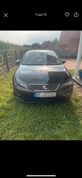 Seat Leon 1,5 TSI Xellece OPF Euro 6 D T... - Seat Leon mit Benzin-Antrieb: Limousine, 1.6