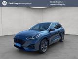 Ford Kuga 2.0 EcoBlue Aut. ST-LINE X - Ford Kuga: Blau