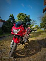 Suzuki GSF 650S Bandit  - SUZUKI GSF 650 BANDIT