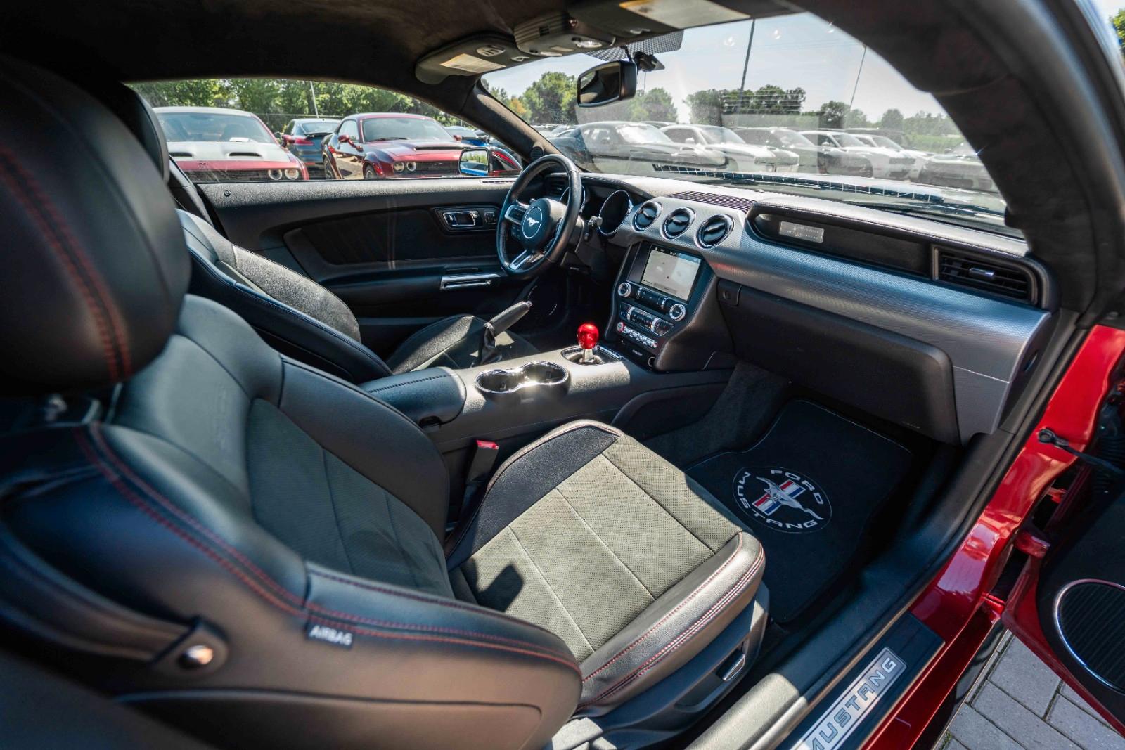 Ford Mustang GT 5,0 Gt 350 SHELBY PREMIUM VOLL