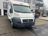 Fiat Ducato Wohnmobil McLouis - Fiat Ducato: Wohnmobil