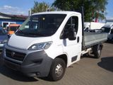 Fiat Ducato 130 Multijet - Offers matching your search criteria