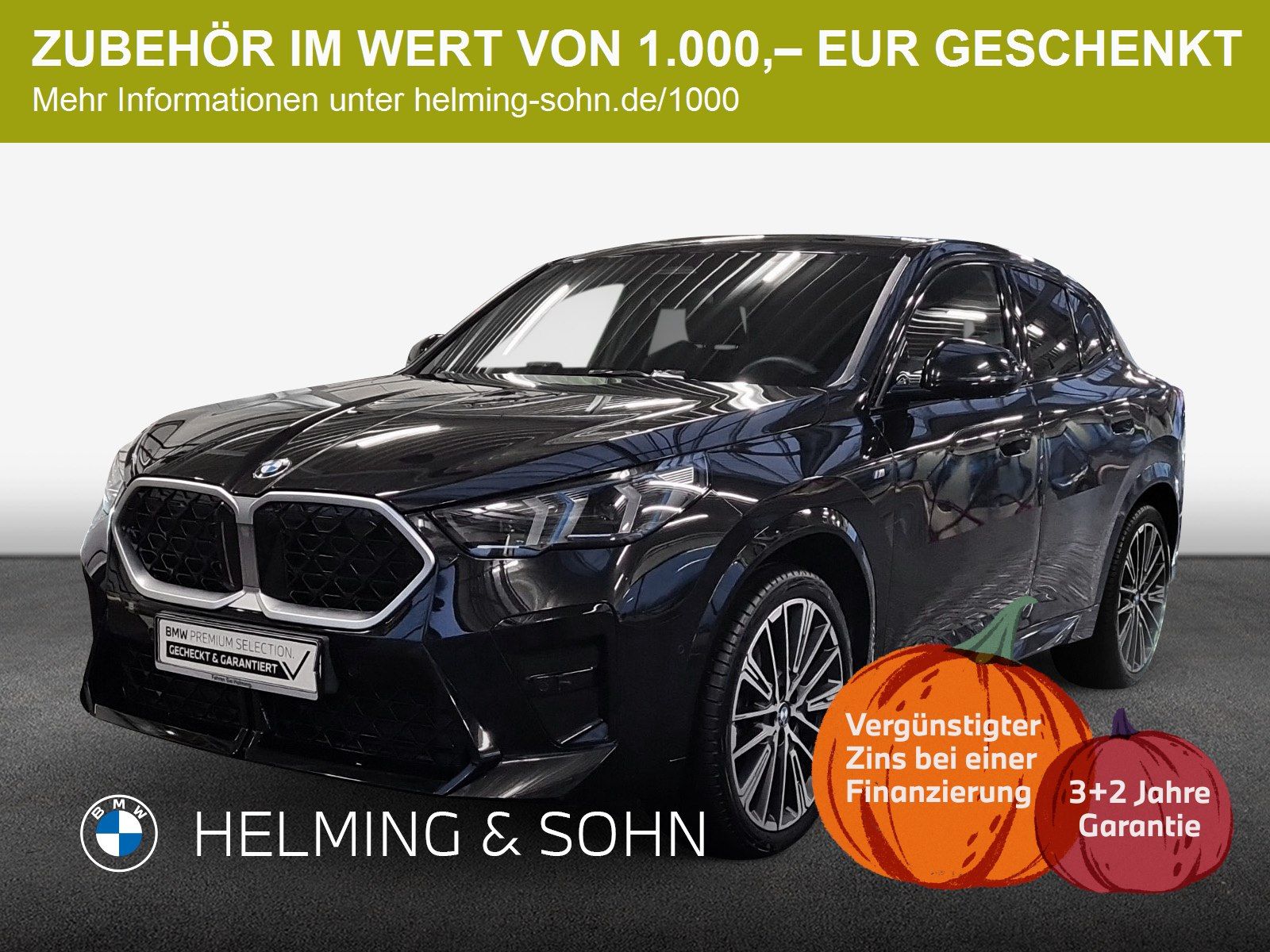 BMW X2 xDrive20d M-Sport LED HK HiFi DAB AHK Komfort