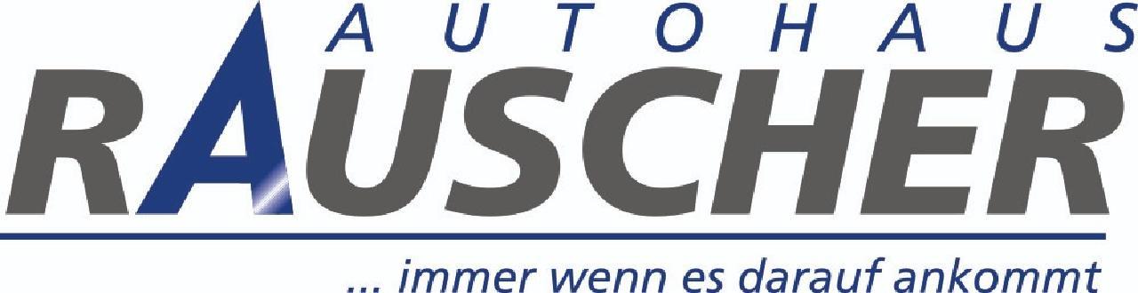 Ford Transit Kasten E 350 L3 Trend