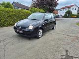 Volkswagen Lupo 1.0 Princeton-Klima-Tüv neu!! - Volkswagen Lupo: Princeton
