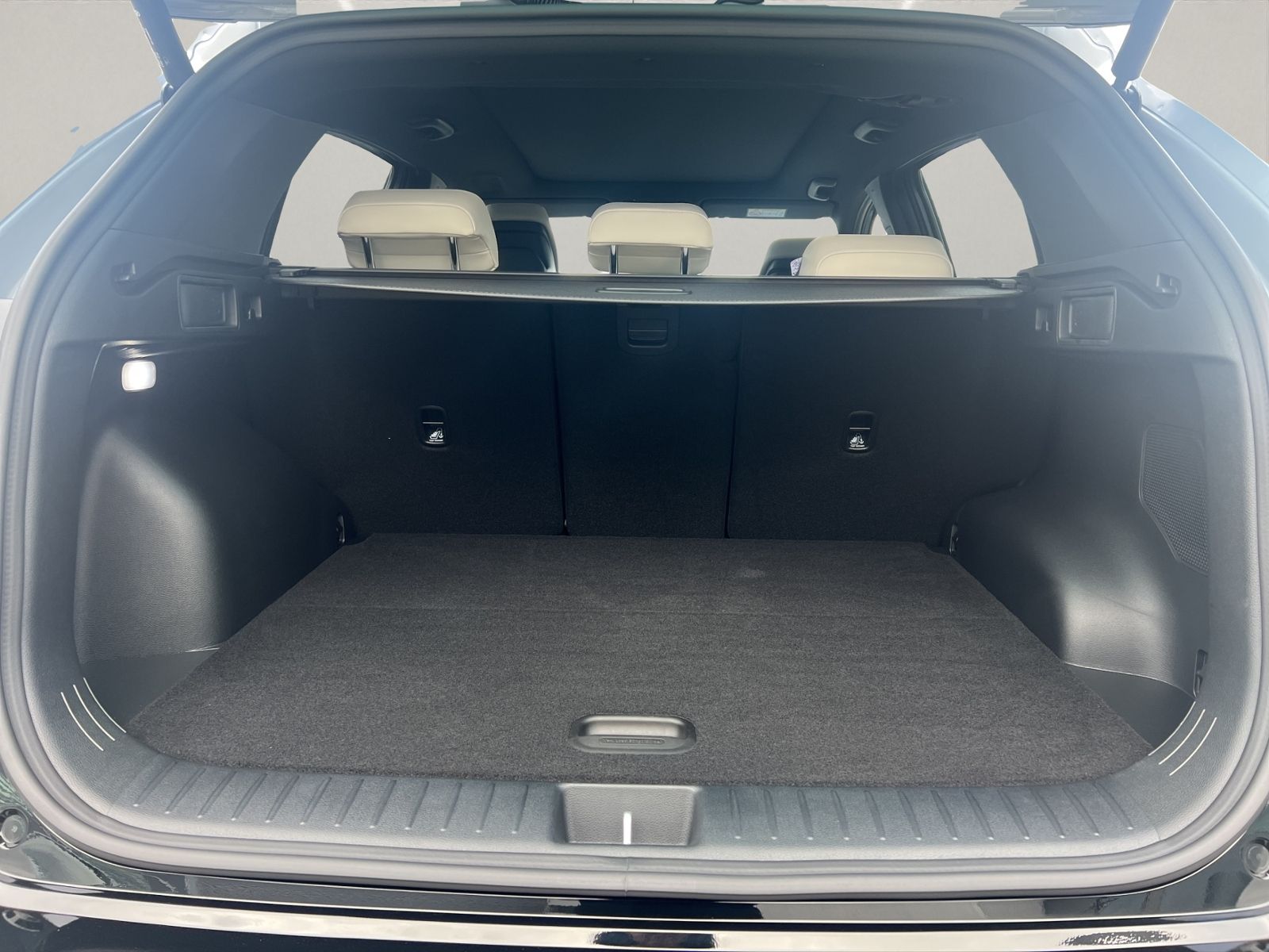 Kia Sportage - Bild 9